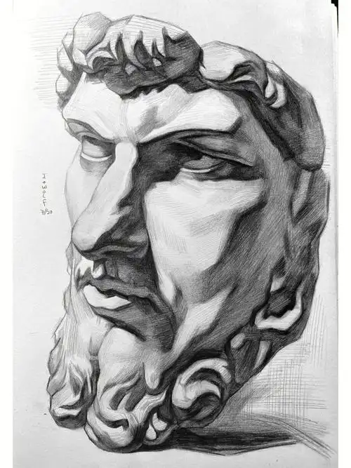 也可以非常好的衔接后续石膏练习 9116615他分为切面像和面像