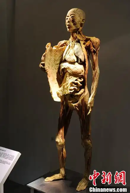 生命奥秘展览北京展出