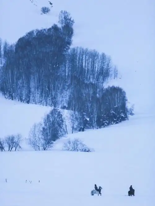 唯有面对雪和原野孤独才能得到回应