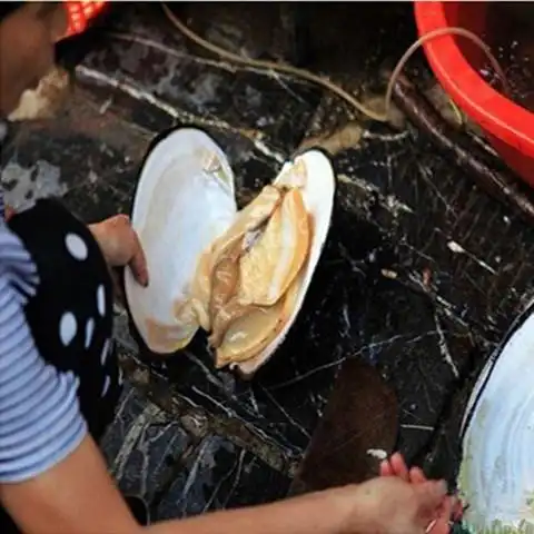 新鲜河蚌肉微山湖淡水新鲜河蚌肉现杀去壳净肉1-4斤装 三斤装(去壳