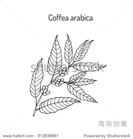 图片 如何选择 标准授权 扩展授权 eps 矢量 可随意缩小且不影响画质