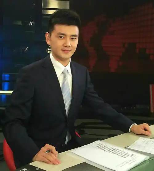 央视男主持实力颜值并存,撒贝宁严於信胡悦鑫王言谁是top1?