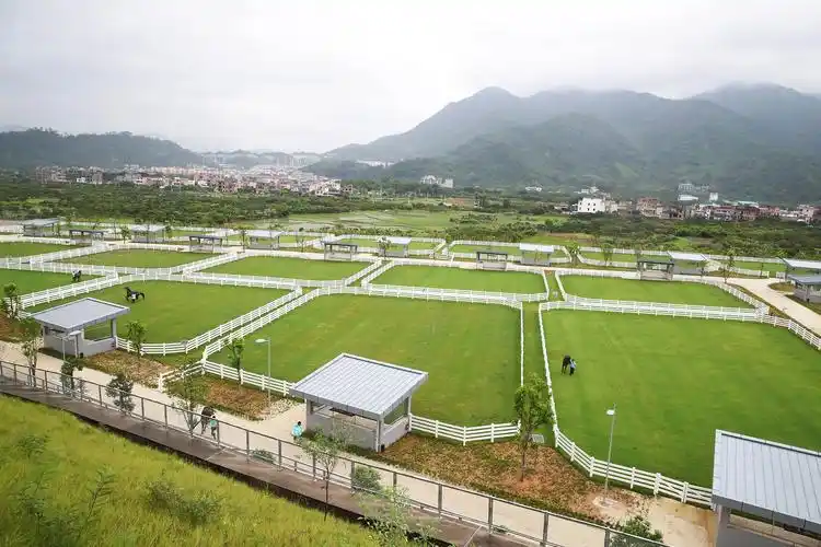 从化马场设有多个放草休养区,让马匹享受宁静的天然环境.