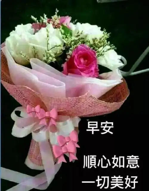 新的一周早上好问候语图片表情大全早上好祝福表情大图