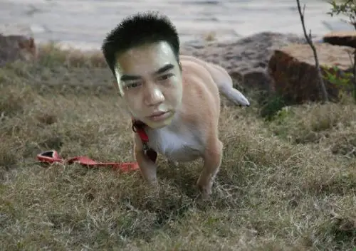 帮我把这个人p成人头狗身到处小便的一只狗