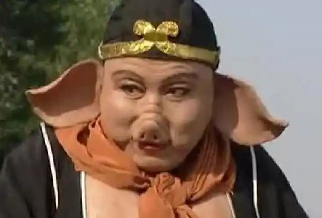 这五个猪八戒,谁最搞笑?