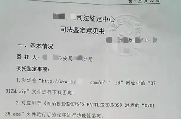 ①没有检材外挂程序的提取笔录.