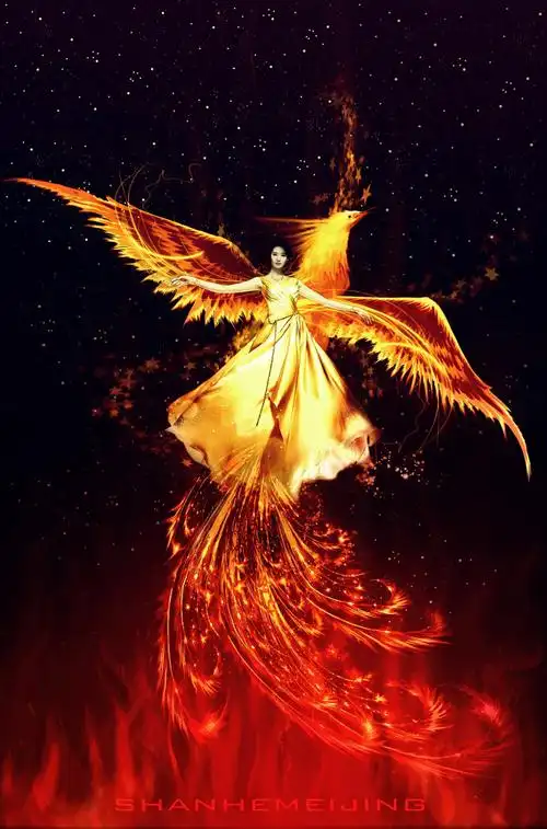 凤凰涅盘╮╯▽╰╭