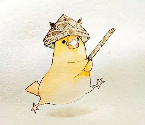 插画皮皮又可爱的文鸟