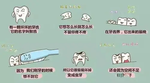 智齿为什么长不出来?