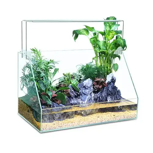 鱼缸水陆缸微景观植物造景换水懒人生态小型鱼缸