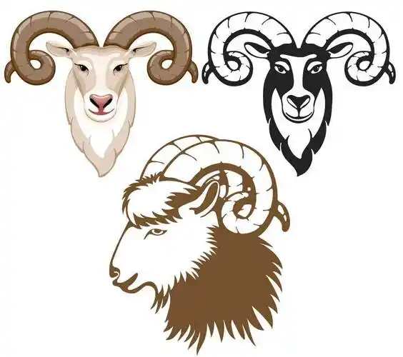 2022最新羊头简笔画 羊头简笔画 可爱