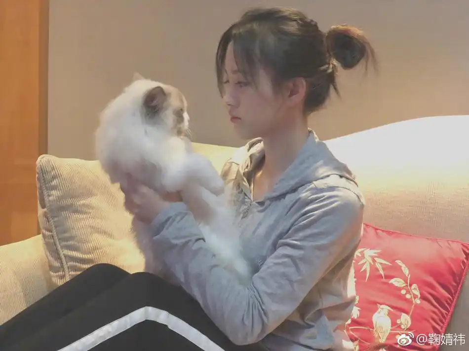 照片中鞠婧祎穿着家居服,扎着丸子头,随性休闲,抱着爱猫温柔可爱,侧颜