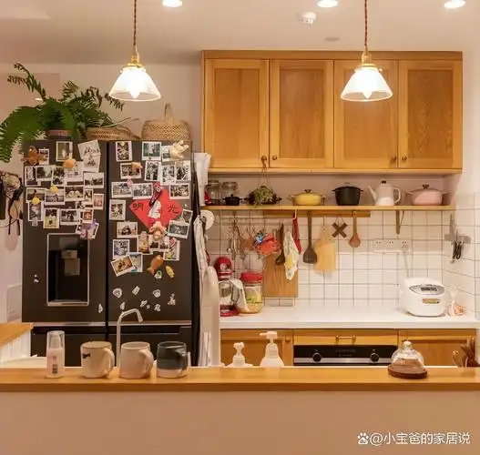 厨房不一定大就好,瞧瞧日本人布置的,整洁上档次,晒晒!