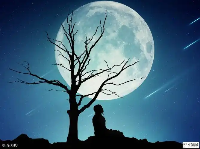 从月亮星座看一个人最喜欢什么样的异性