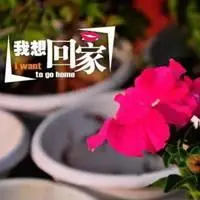 恒峰娱乐app官网_我想回家图片带字图片 好想回家的文字图片_微信头像