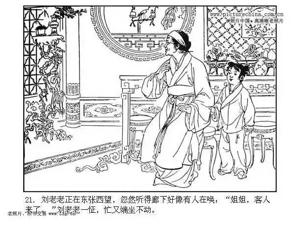 《红楼梦》(七)刘姥姥进大观园(上)