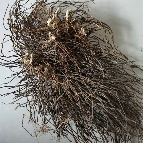 99淘宝新品中药材正品新货野生威灵仙根叶段梗500g克铁扫老虎须铁脚粉