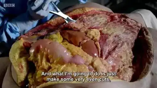 看完这篇文章我真的要减肥了谁也别拦我