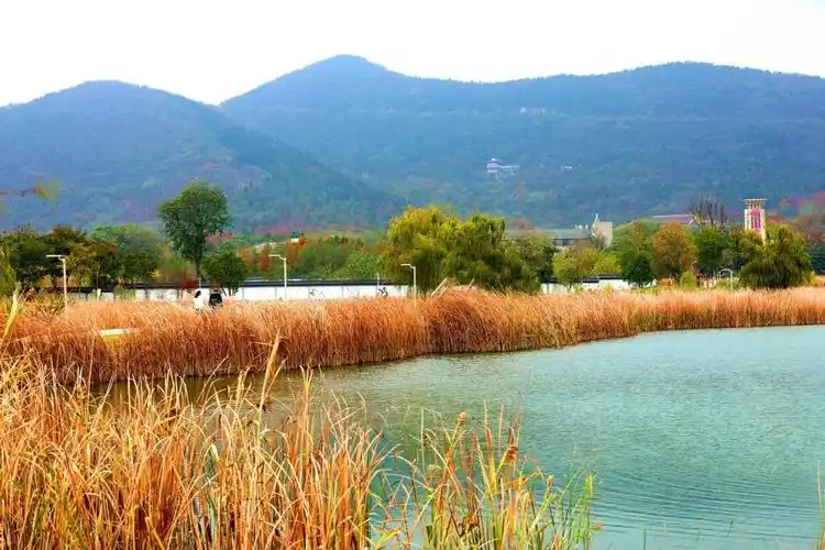 南京汤山金乌公园秋色迷人