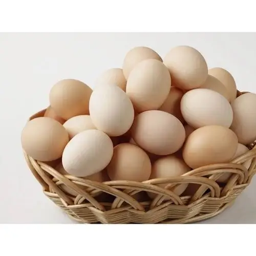 > 军山湖山鸡蛋15枚筐装商品评价 > 一直选择苏宁易购,放.