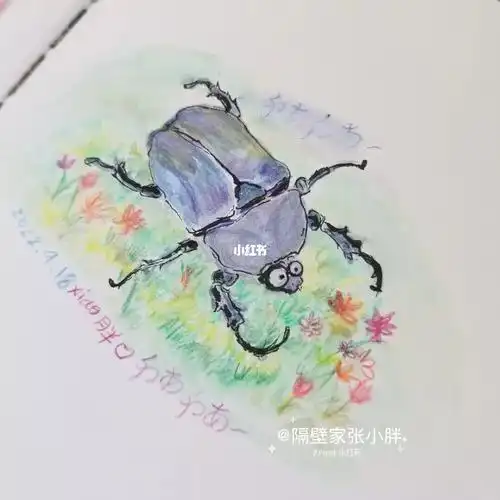 每日一画精钢小甲虫
