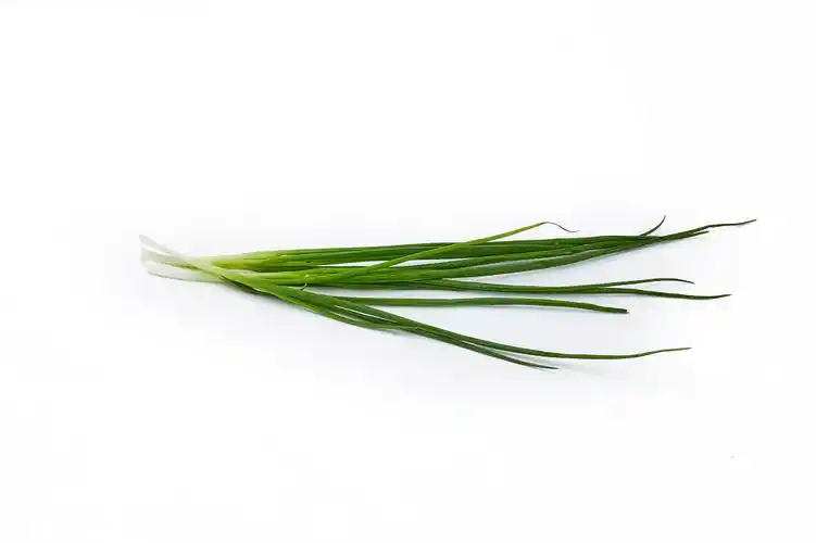 小葱素材-小葱图片-小葱素材图片下载-觅知网
