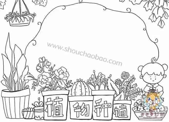 植物手抄报图片,植物手抄报内容,植物手抄报教程