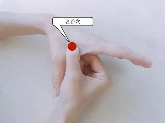 大人发烧按摩5分钟退烧图解,搓这几个部位可快速退热