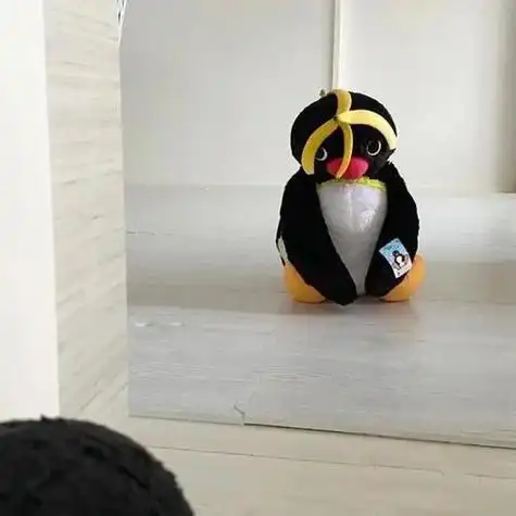 pingu企鹅家族头像