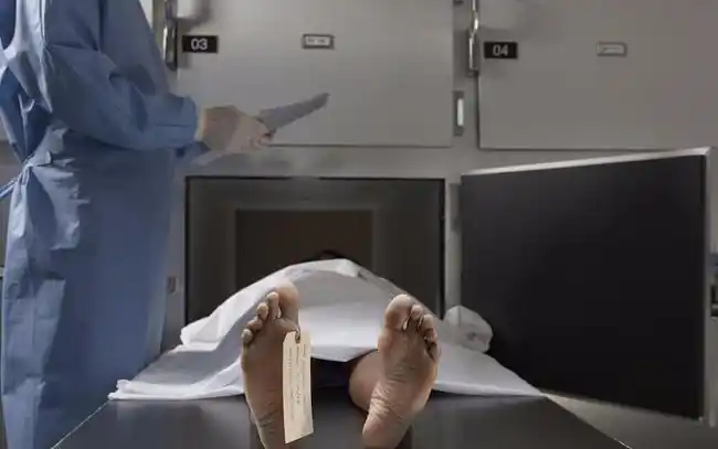 处理尸体的方式有很多种,你可以火化,埋葬或者捐出去.