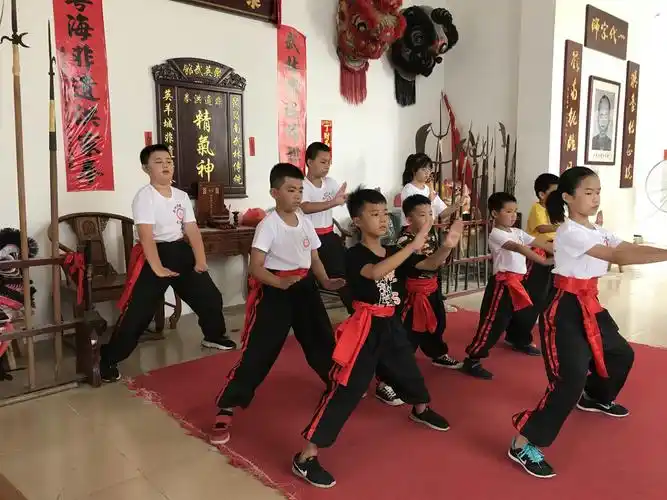 2020竹料聚英武馆非遗洪拳.暑假少年武术训练班
