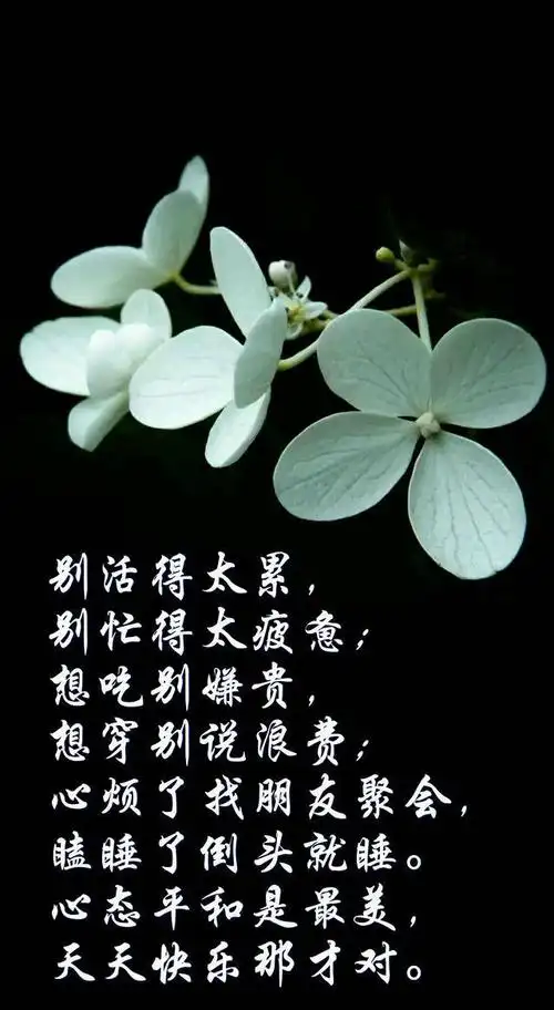 岁月安好静默如初