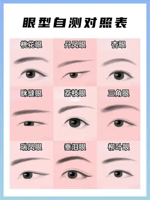集美们知道自己是属于哪一类眼睛不?