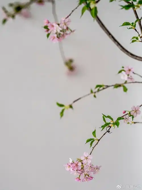 春节休闲去哪玩##记录旅行##北京旅行