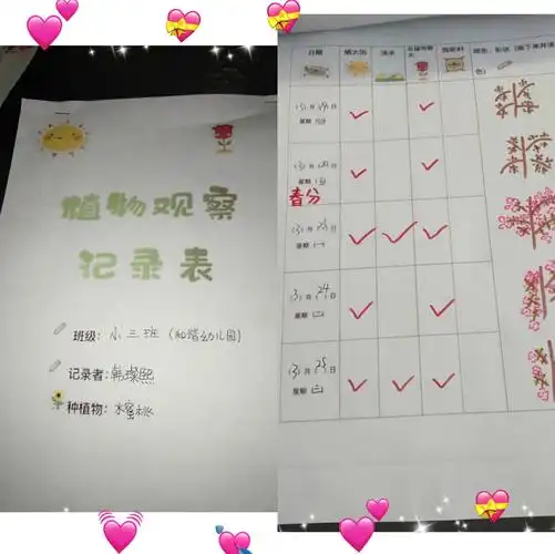 【植物与我共成长】爱一棵小树 绿一片净土—和谐幼儿园小三班韩璨熙