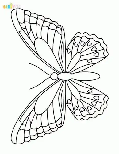 轴对称蝴蝶的简笔画