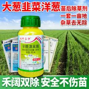 大葱韭菜洋葱香葱小葱田苗后专用除草剂配方药禾阔杂草双除不伤苗