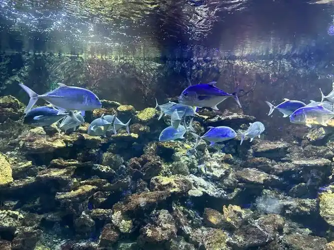 避雷!北海海洋之窗!