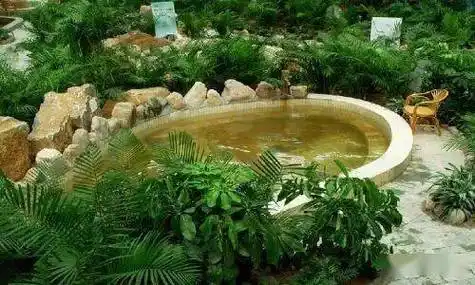 198元/人周246发含3餐 车 五星住宿 2次温泉门票_龙门汤_健身_度假区