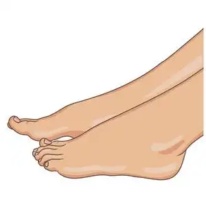 手绘女神侧面女性双脚赤脚, 侧面观看.