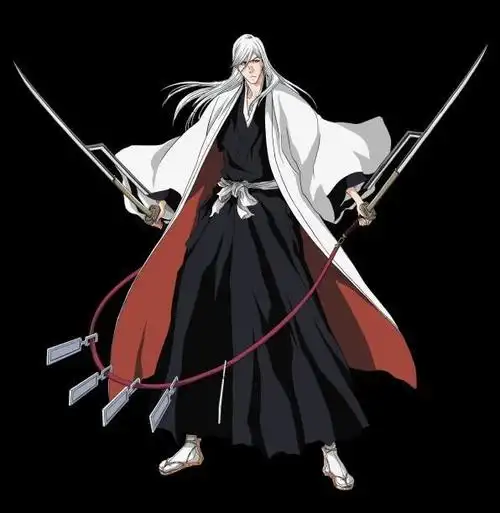 图示为浮竹十四郎