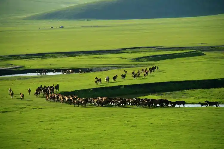 呼和浩特大草原1920x1280分辨率查看