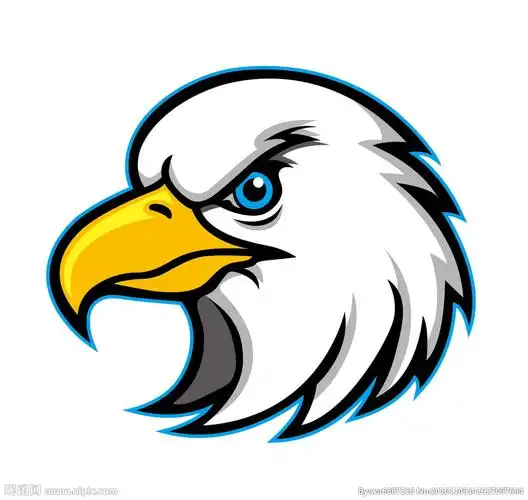 老鹰头矢量图片