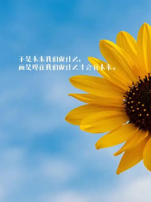 文摘📖‖励志文案,适合发朋友圈的金句