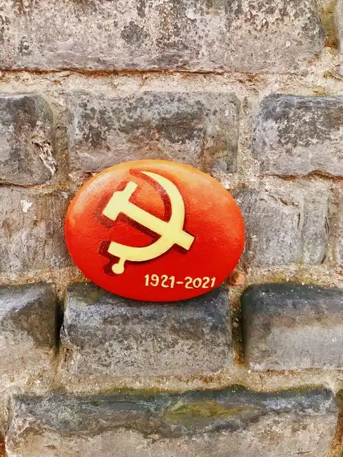 庆祝建党一百周年 - 画虫的石头画