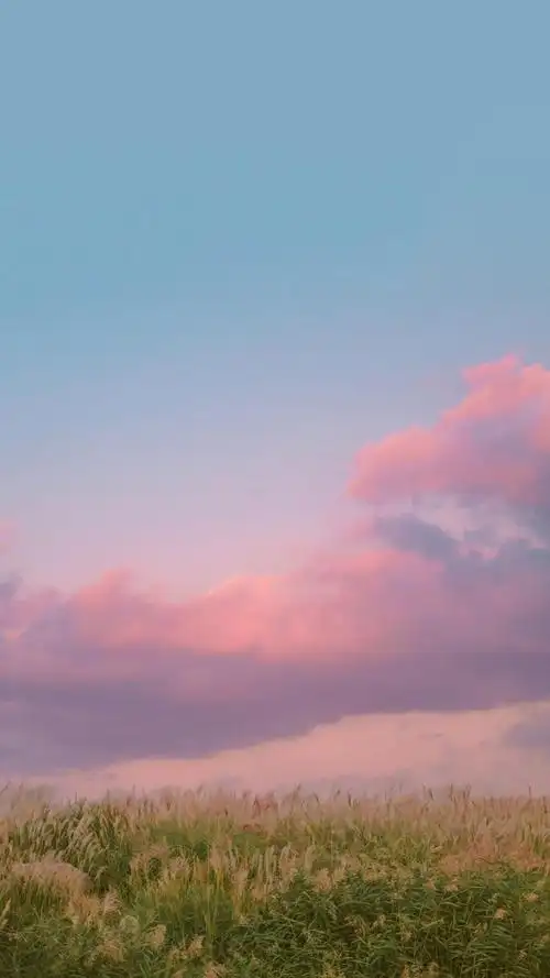粉色天空摄影手机壁纸图片