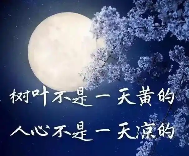 心情不好的图片带字表达心情低落伤感的句子