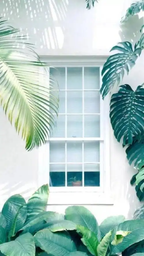 朋友圈背景图,聊天背景图,高清壁纸无水印,点赞清除霉运