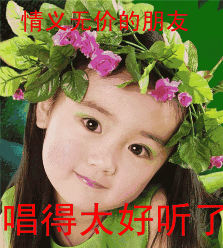 福利到了适合中老年朋友微信聊天的表情包整理全了快点收藏